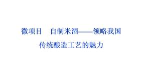 自制米酒——领略我国传统酿造工艺的魅力PPT课件免费下载2023