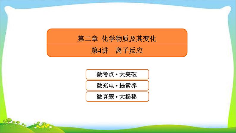 高中化学第一轮总复习2.4离子反应完美课件PPT01