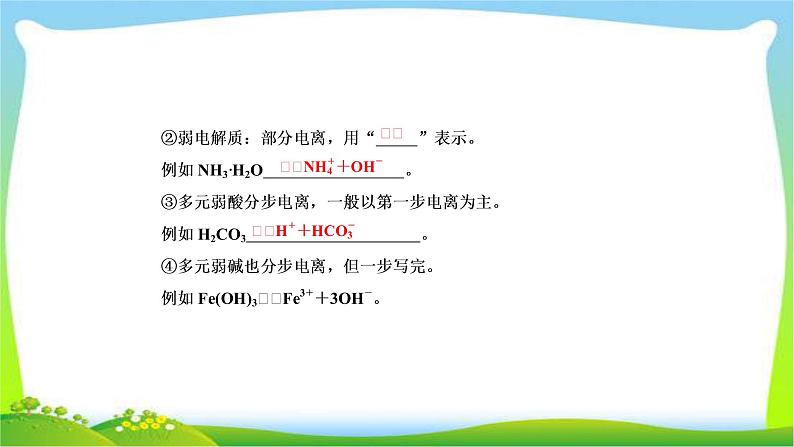 高中化学第一轮总复习2.4离子反应完美课件PPT06
