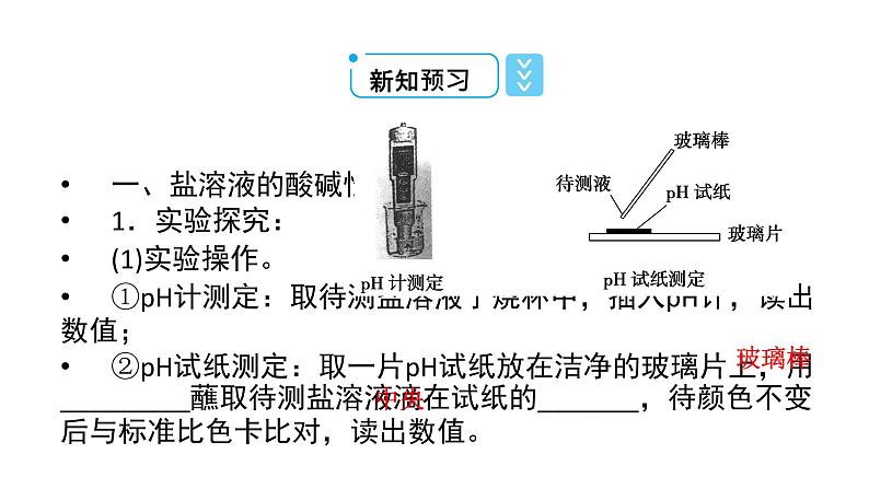 2021-2022学年高中化学新人教版选择性必修1 第三章第三节 盐类的水解(第1课时) 课件(50张)08