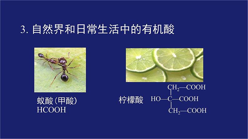 人教版 (新课标) 高中化学选修5 第3章 第3节 羧酸、酯课件PPT第6页