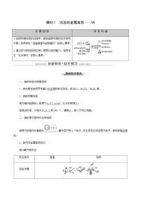 高中化学人教版 (2019)必修 第一册第一节 钠及其化合物学案