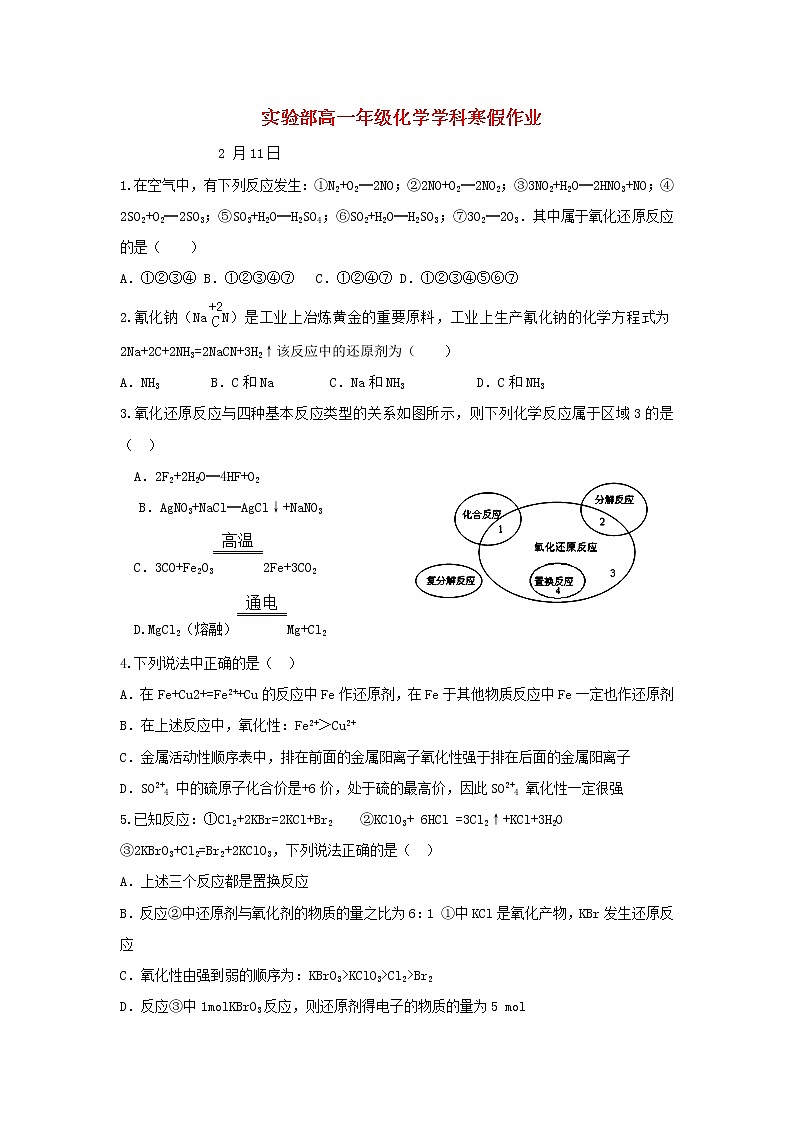 中學(xué)高一化學(xué)寒假作業(yè)10含答案第1頁(yè)