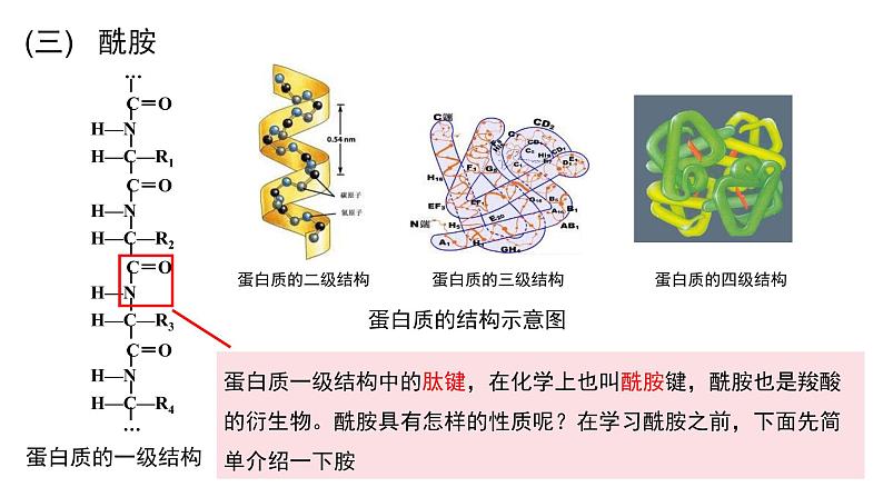 3.4.3羧酸羧酸衍生物酰胺课件【新教材】新人教版高二化学选择性必修三02