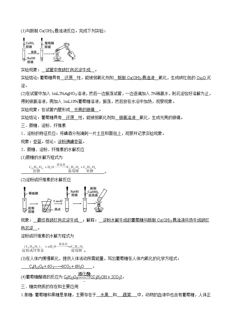 7.4.1 糖类 导学案 高中化学新人教版必修第二册(2022年)02