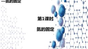 高中化学苏教版 (2019)必修 第二册第一单元 氮的固定精品ppt课件