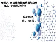 8.2.3  酯  油脂 課件【新教材】2021-2022學(xué)年蘇教版（2019）高一化學(xué)必修第二冊(cè)