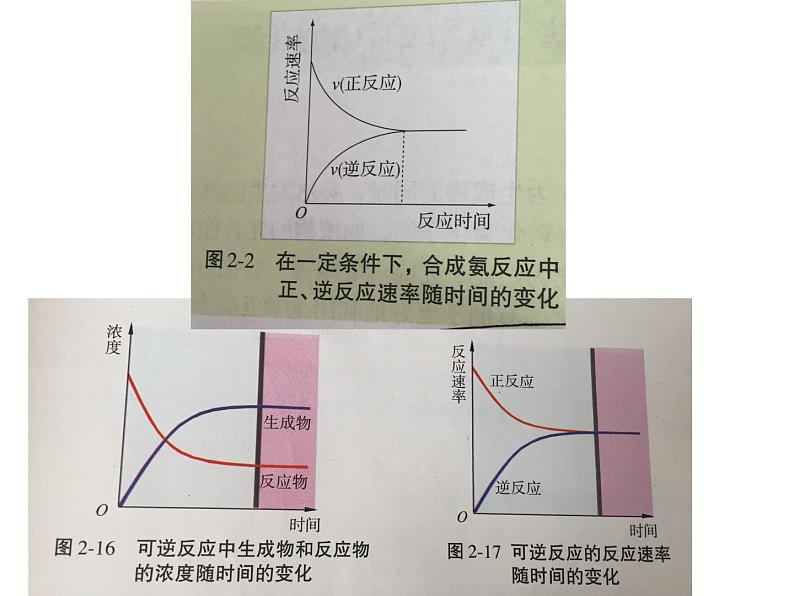 苏教版2021-2022高中化学专题2 化学反应速率与化学平衡第二单元 高一化学平衡常数课件05