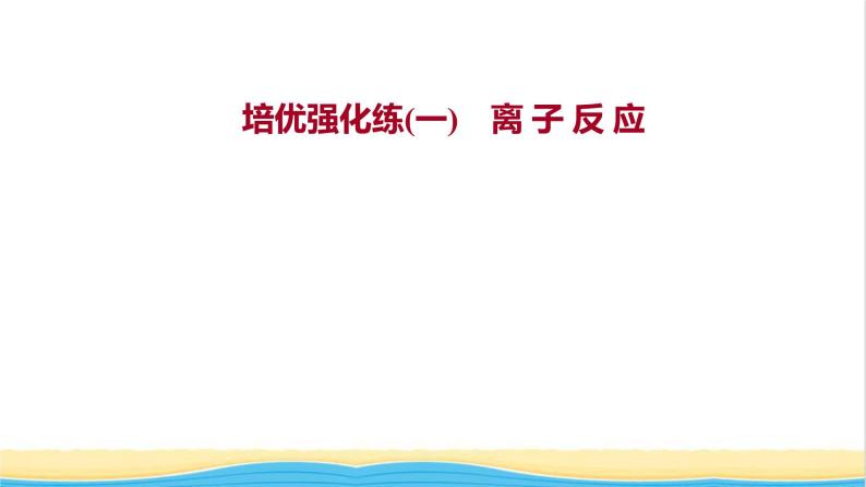 浙江专用高中化学强化练一离子反应课件新人教版必修第一册01