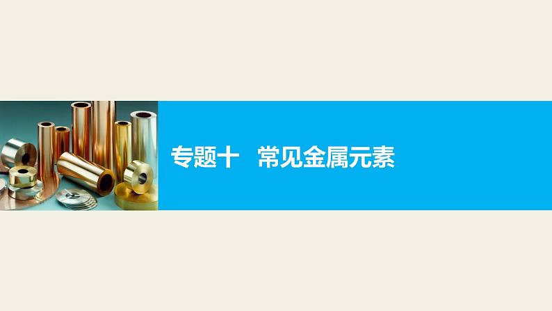 高三化学二轮复习-专题十 常见金属元素学案01