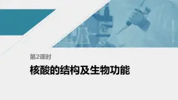 高中化学苏教版（2021）选择性必修3 专题6  第二单元 第2课时　核酸的结构及生物功能（56张PPT）