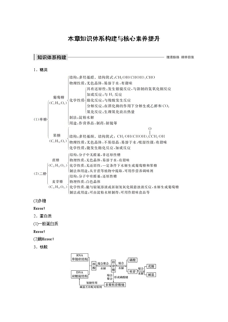 2022年高中化学新人教版选择性必修3 第四章 本章知识体系构建与核心素养提升 学案01