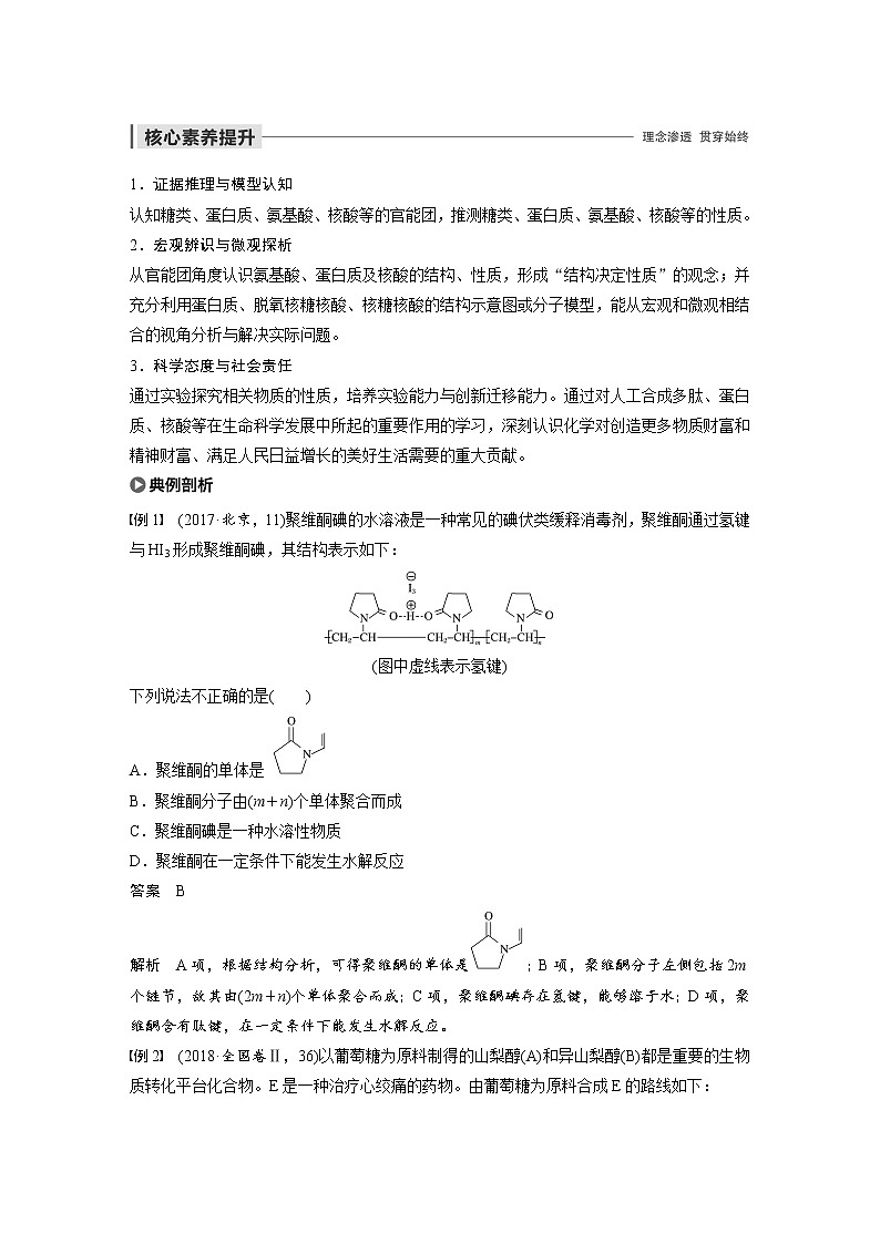 2022年高中化学新人教版选择性必修3 第四章 本章知识体系构建与核心素养提升 学案02