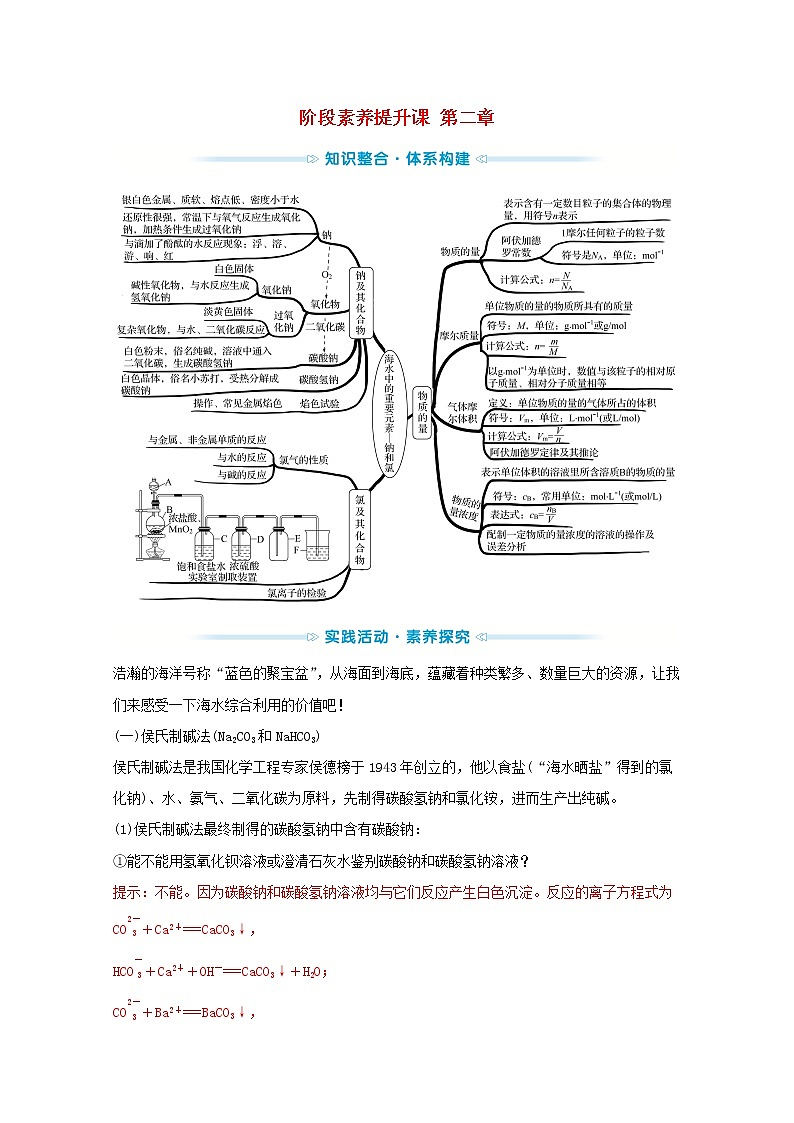 2021_2022学年高中化学第二章海水中的重要元素__钠和氧阶段素养提升课学案人教版必修101