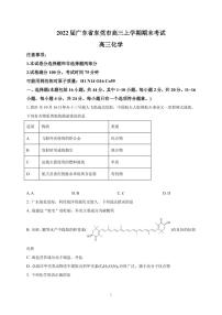 2022届广东省东莞市高三上学期期末考试化学PDF版含答案练习题