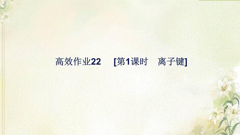 新人教版高中化学必修第一册第四章物质结构元素周期律高效作业22第1课时离子键课件第1页