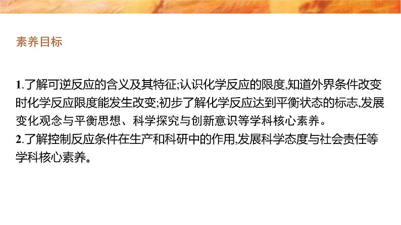 必修二6.2.3 化学反应的限度 化学反应条件的控制 人教版(2019)化学高一 必修二第2页