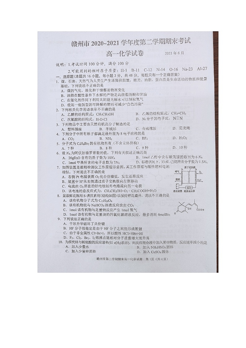 2021赣州高一下学期期末考试化学试题扫描版含答案01