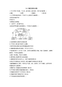 （1）硫及其化合物——2021-2022学年人教版（2019）高一化学必修二期末回顾提升