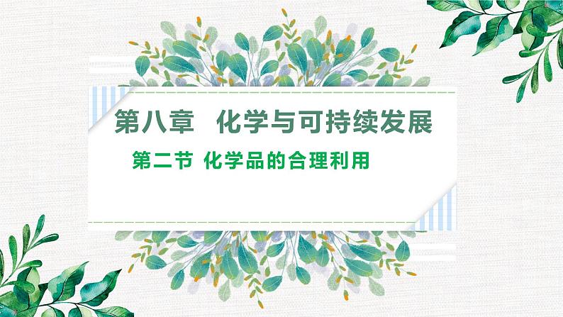 新教材人教版必修二第八章第二节化学品的合理利用第1页