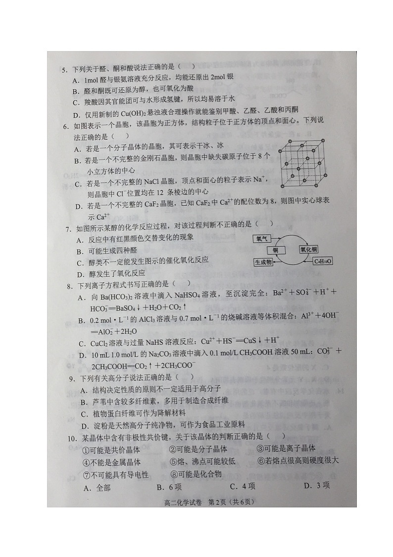 2021沈阳郊联体高二下学期期末考试化学试题扫描版缺答案第2页