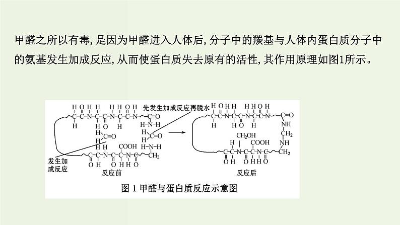 鲁科版高中化学选择性必修2第1章原子结构与元素性质微项目:甲醛的危害与去除__利用电负性分析与预测物质性质PPT课件03
