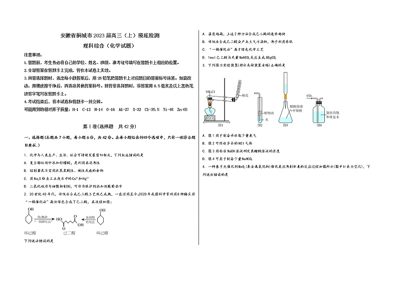 安徽省桐城市2023届高三(上)摸底检测化学试题(word版,含答案)01