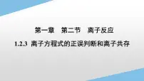 人教版 (2019)必修 第一册第二节 离子反应说课课件ppt