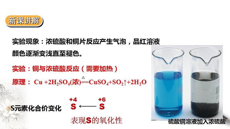 高中化学必修2 5.5实验活动5不同价态含硫物质的转化 课件08