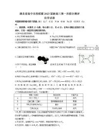 湖北省高中名校联盟2023届高三第一次联合测评化学试题及参考答案