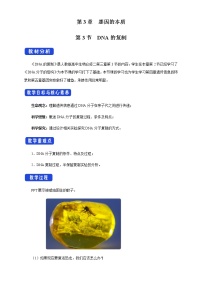 高中化學(xué)人教版 (2019)必修 第一冊(cè)實(shí)驗(yàn)活動(dòng)2 鐵及其化合物的性質(zhì)當(dāng)堂達(dá)標(biāo)檢測題