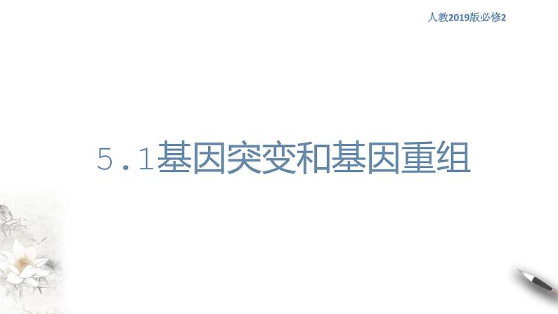 【新教材精创】5.1 基因突变和基因重组 课件(1)-人教版高中生物必修2遗传与进化(共32张PPT)第1页