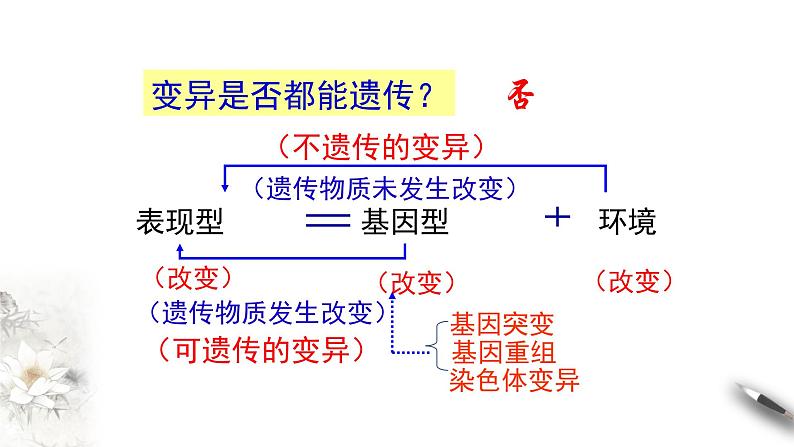 【新教材精创】5.1 基因突变和基因重组 课件(1)-人教版高中生物必修2遗传与进化(共32张PPT)第3页