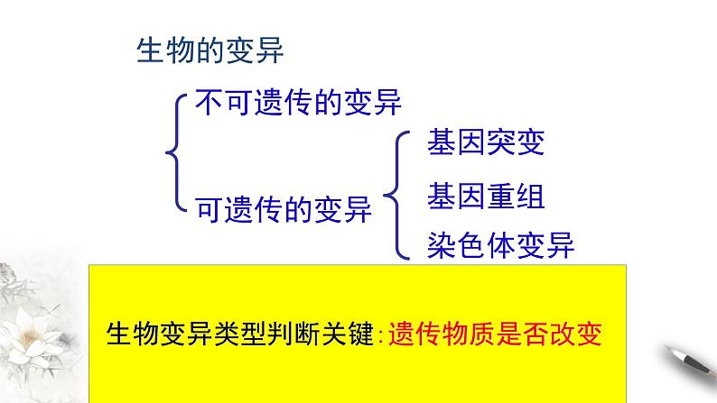 【新教材精创】5.1 基因突变和基因重组 课件(1)-人教版高中生物必修2遗传与进化(共32张PPT)第4页