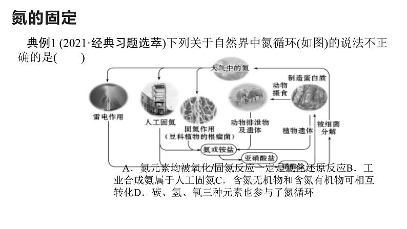 氮及其化合物(复习梳理)第5页