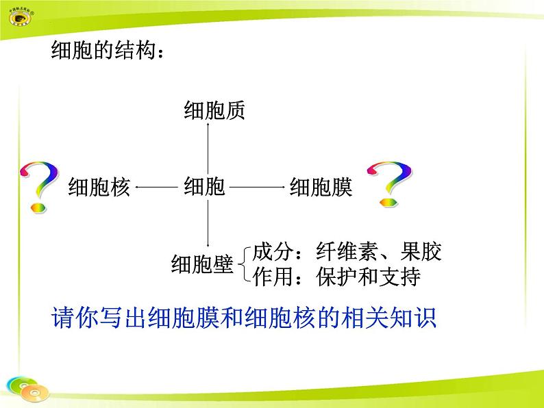 2023届高三一轮复习生物:必修1+第3章+细胞膜+细胞核课件03