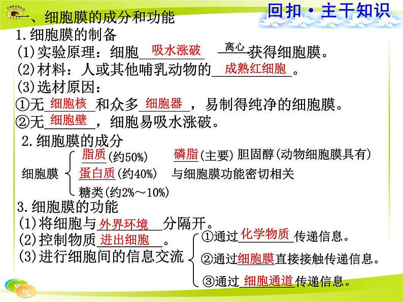 2023届高三一轮复习生物:必修1+第3章+细胞膜+细胞核课件04