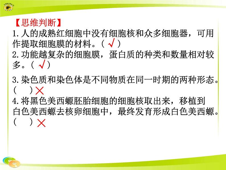 2023届高三一轮复习生物:必修1+第3章+细胞膜+细胞核课件07