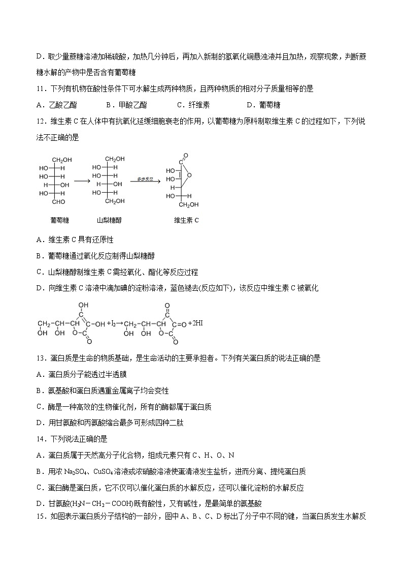 第4章 生物大分子(章末检测)-2022-2023学年高二化学课时过关提优AB练(人教版2019选择性必修3)(原卷版)第3页