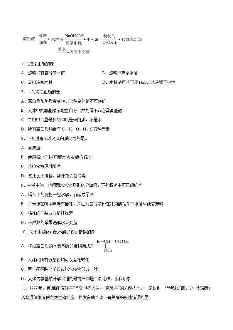 第04单元 生物大分子(A卷•夯实基础)-2022-2023学年高二化学同步单元AB卷(人教版2019选择性必修3)02