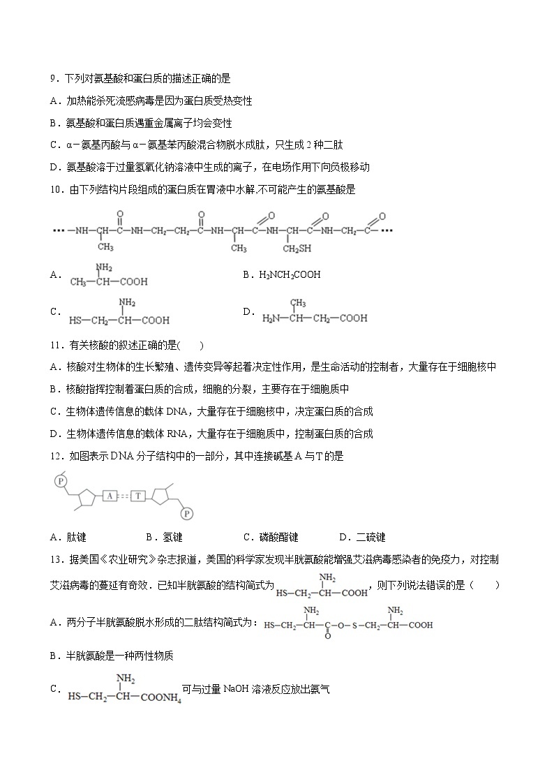 第04单元 生物大分子（B卷•提升能力）-2022-2023学年高二化学同步单元AB卷（人教版2019选择性必修3）03