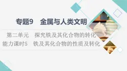 苏教版高中化学必修二专题9第2单元能力课时5铁及其化合物的性质及转化课件