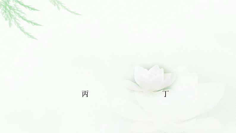 苏教版高中化学选择性必修1专题2第1单元能力课时4化学反应速率课件07