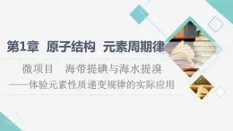 鲁科版高中化学必修第二册第1章微项目海带提碘与海水提溴——体验元素性质递变规律的实际应用课件