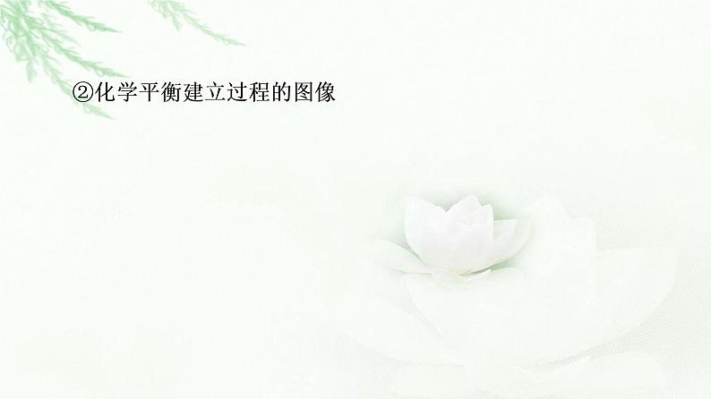鲁科版高中化学必修第二册第2章第3节基础课时11化学反应的限度课件第7页
