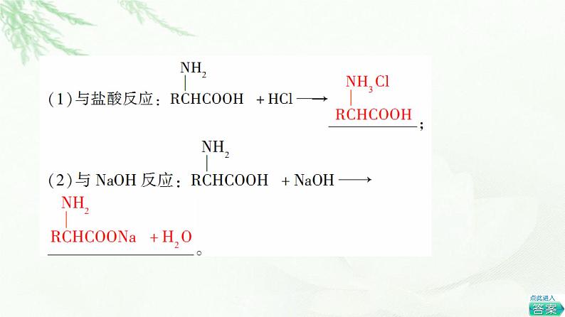 鲁科版高中化学选择性必修3第2章第4节基础课时16氨基酸和蛋白质课件08