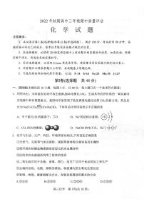 2022-2023学年河南省南阳市高三上学期11月期中考试 化学试题（PDF版）