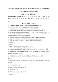 辽宁省沈阳市东北育才学校2022-2023学年高三化学上学期10月第一次模拟试卷（Word版附答案）