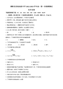 2023宿迁泗阳县实验高级中学高一上学期第一次调研化学试题含解析