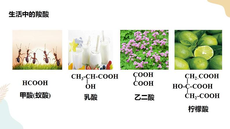 3.4羧酸羧酸衍生物 第1课时 课件高二化学人教版(2019)选择性必修3第2页